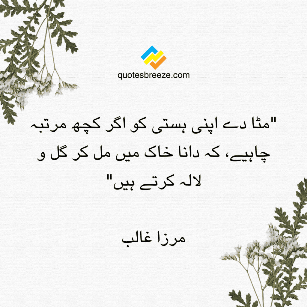 6_inspirational urdu quotes