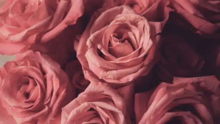 7 Romantic Urdu Quotes that speak the language of Love
