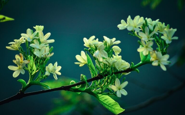 5 Inspirational Urdu Quotes to increase Your Spirit