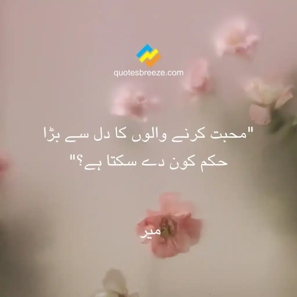 Romantic Urdu Quotes on Love by Mir - Quote #5