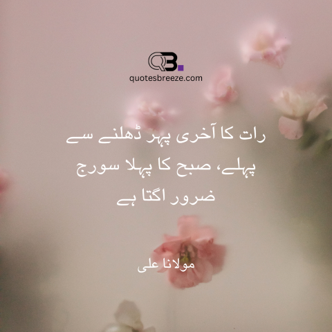  Hazrat Ali quotes in urdu 1