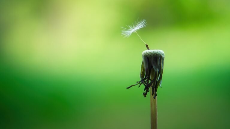 Hope in a Line: One Line Motivational Quotes to Lift Your Spirits