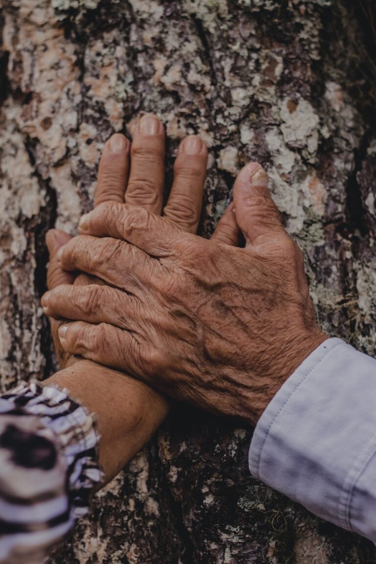 Timeless Romantic Quotes That Speak to the Heart: Love Without End