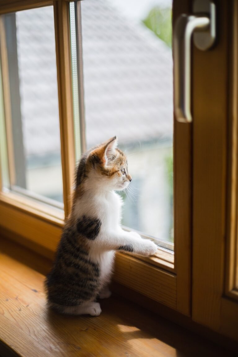 Words of Sorrow: One Line Sad Quotes That Speak to the Soul